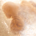 Fabricated Truths - Image 1 Thumb