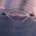 Fabricated Truths - Image 9 Thumb