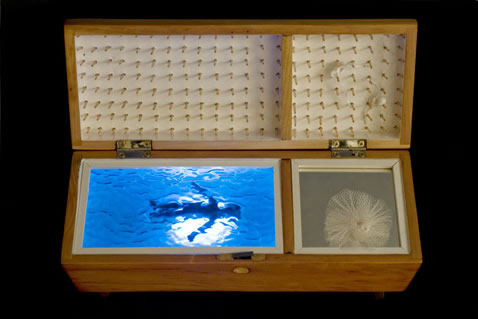 Sculptural Works 1